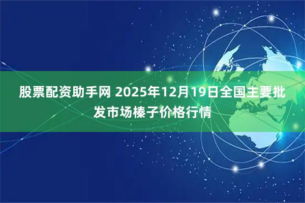 股票配资助手网 2025年12月19日全国主要批发市场榛子价格行情